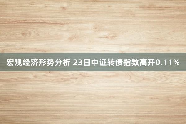 宏观经济形势分析 23日中证转债指数高开0.11%