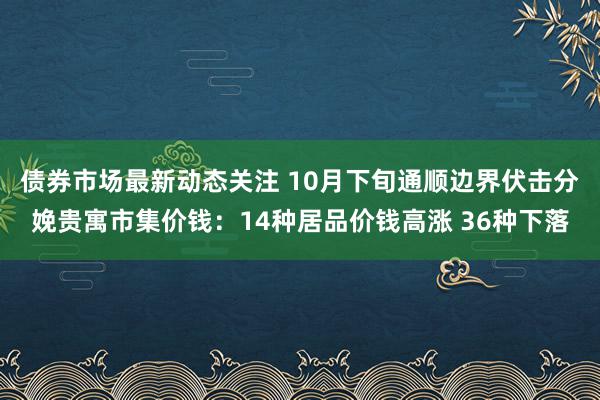 债券市场最新动态关注 10月下旬通顺边界伏击分娩贵寓市集价钱：14种居品价钱高涨 36种下落