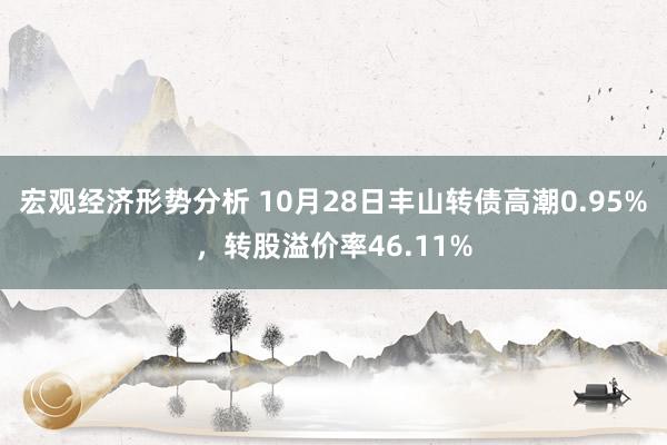 宏观经济形势分析 10月28日丰山转债高潮0.95%，转股溢价率46.11%