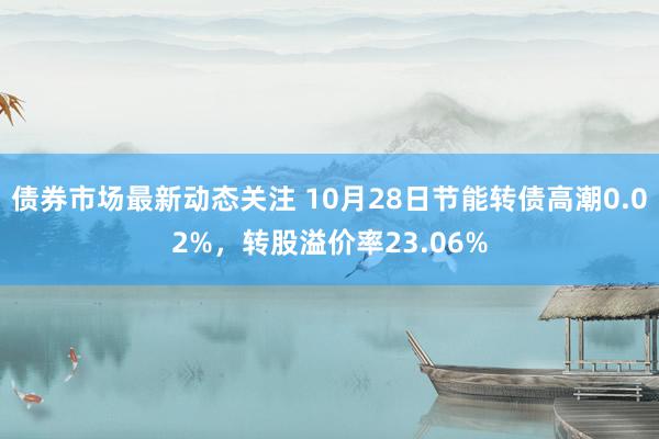 债券市场最新动态关注 10月28日节能转债高潮0.02%，转股溢价率23.06%