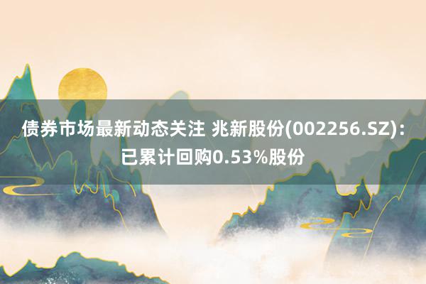 债券市场最新动态关注 兆新股份(002256.SZ)：已累计回购0.53%股份