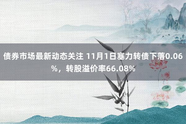 债券市场最新动态关注 11月1日塞力转债下落0.06%，转股溢价率66.08%