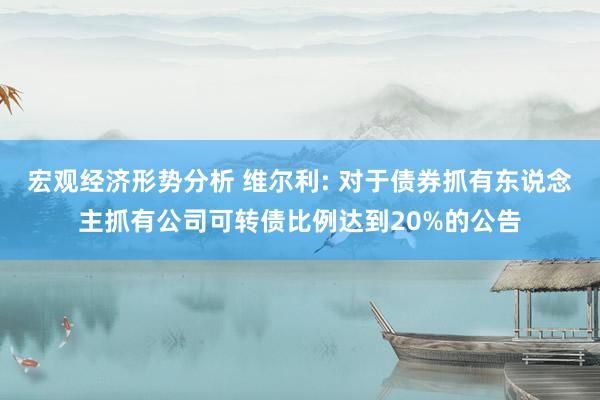 宏观经济形势分析 维尔利: 对于债券抓有东说念主抓有公司可转债比例达到20%的公告