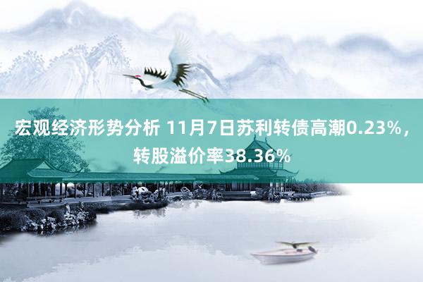 宏观经济形势分析 11月7日苏利转债高潮0.23%，转股溢价率38.36%