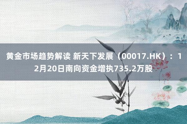 黄金市场趋势解读 新天下发展（00017.HK）：12月20日南向资金增执735.2万股