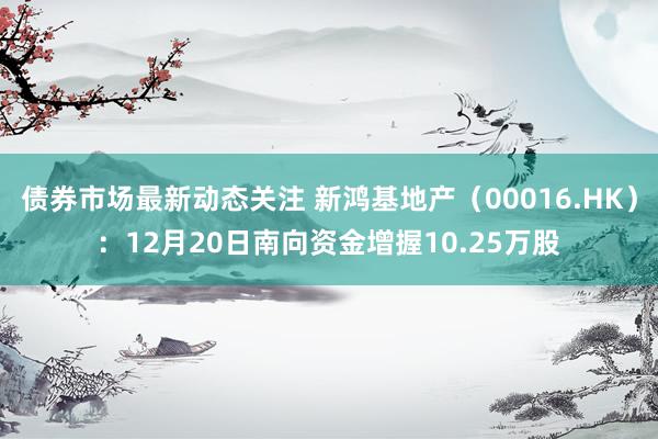 债券市场最新动态关注 新鸿基地产（00016.HK）：12月20日南向资金增握10.25万股