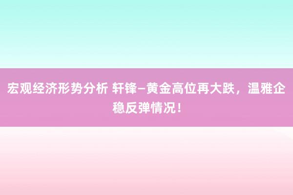 宏观经济形势分析 轩锋—黄金高位再大跌，温雅企稳反弹情况！