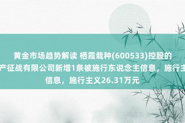 黄金市场趋势解读 栖霞栽种(600533)控股的南京星汇房地产征战有限公司新增1条被施行东说念主信息，施行主义26.31万元