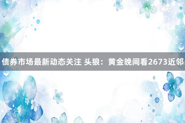 债券市场最新动态关注 头狼：黄金晚间看2673近邻