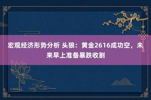 宏观经济形势分析 头狼：黄金2616成功空，未来早上准备暴跌收割