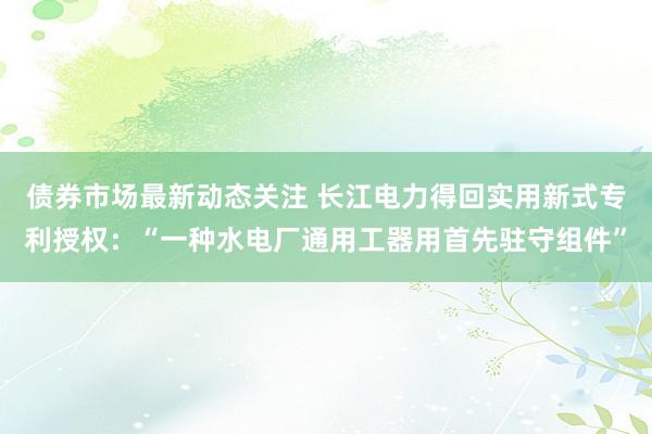 债券市场最新动态关注 长江电力得回实用新式专利授权：“一种水电厂通用工器用首先驻守组件”