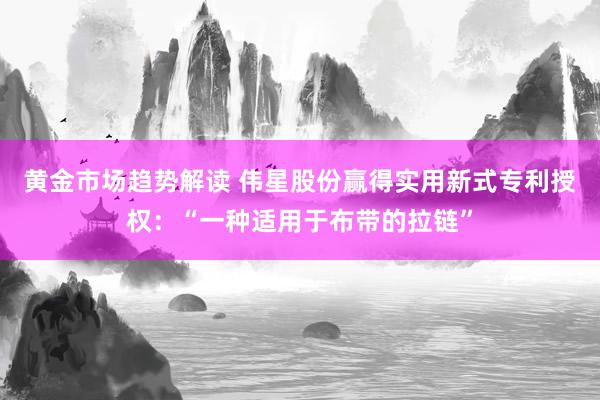 黄金市场趋势解读 伟星股份赢得实用新式专利授权：“一种适用于布带的拉链”