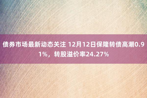 债券市场最新动态关注 12月12日保隆转债高潮0.91%，转股溢价率24.27%