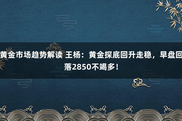 黄金市场趋势解读 王杨：黄金探底回升走稳，早盘回落2850不竭多！