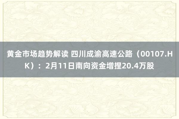 黄金市场趋势解读 四川成渝高速公路（00107.HK）：2月11日南向资金增捏20.4万股