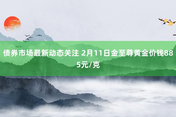 债券市场最新动态关注 2月11日金至尊黄金价钱885元/克