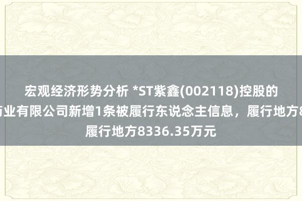 宏观经济形势分析 *ST紫鑫(002118)控股的吉林草还丹药业有限公司新增1条被履行东说念主信息，履行地方8336.35万元