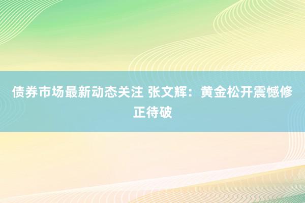 债券市场最新动态关注 张文辉：黄金松开震憾修正待破