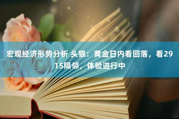 宏观经济形势分析 头狼：黄金日内看回落，看2915隔邻，体验进行中