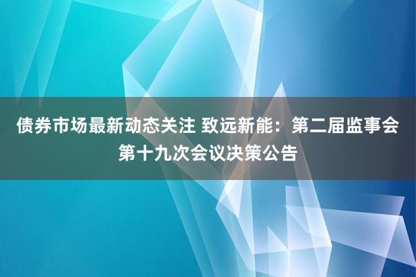 债券市场最新动态关注 致远新能：第二届监事会第十九次会议决策公告