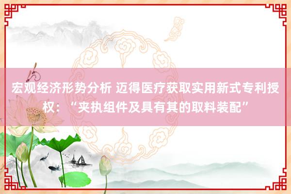 宏观经济形势分析 迈得医疗获取实用新式专利授权：“夹执组件及具有其的取料装配”