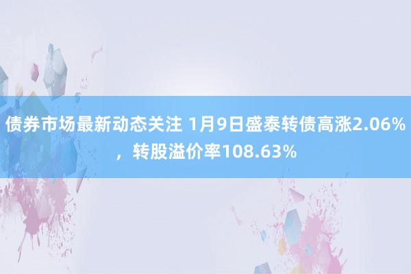 债券市场最新动态关注 1月9日盛泰转债高涨2.06%，转股溢价率108.63%