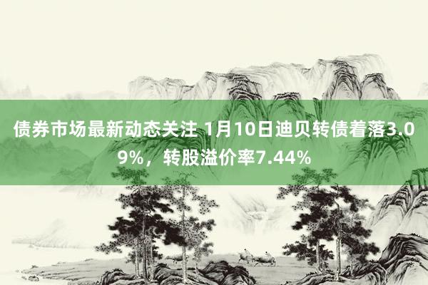 债券市场最新动态关注 1月10日迪贝转债着落3.09%，转股溢价率7.44%