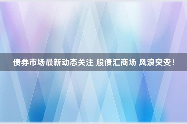 债券市场最新动态关注 股债汇商场 风浪突变！