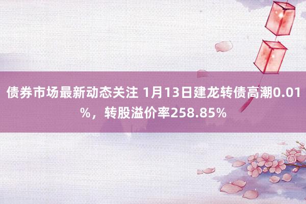 债券市场最新动态关注 1月13日建龙转债高潮0.01%，转股溢价率258.85%